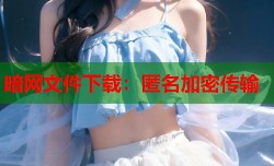 暗网文件下载：匿名加密传输