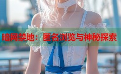 暗网禁地：匿名浏览与神秘探索