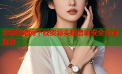 我掌控暗网下载资源实现信息安全全面监管
