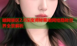 暗网禁区2.0深度揭秘黑暗网络隐秘世界全景解析