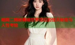 暗网二揭秘黑暗世界背后的惊天秘密与人性考验