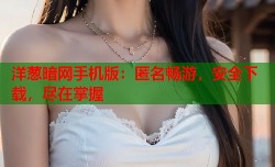 洋葱暗网手机版：匿名畅游，安全下载，尽在掌握