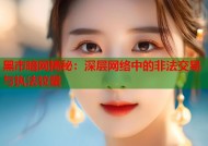 黑市暗网揭秘：深层网络中的非法交易与执法较量