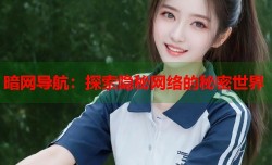 暗网导航：探索隐秘网络的秘密世界