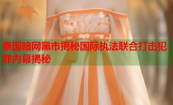 泰国暗网黑市揭秘国际执法联合打击犯罪内幕揭秘