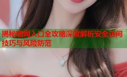 揭秘暗网入口全攻略深度解析安全访问技巧与风险防范