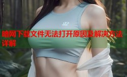 暗网下载文件无法打开原因及解决方法详解