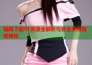 暗网下载91资源全解析与安全使用指南揭秘