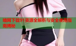 暗网下载91资源全解析与安全使用指南揭秘
