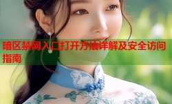 暗区禁网入口打开方法详解及安全访问指南
