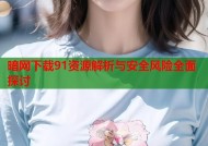 暗网下载91资源解析与安全风险全面探讨