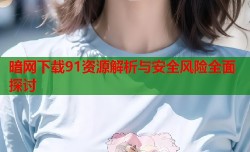 暗网下载91资源解析与安全风险全面探讨