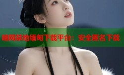 暗网禁地缅甸下载平台：安全匿名下载