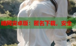 暗网安卓版：匿名下载，安全