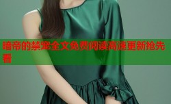 暗帝的禁宠全文免费阅读高速更新抢先看