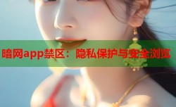 暗网app禁区：隐私保护与安全浏览