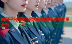暗网平台揭秘与网络犯罪隐秘交易全景分析