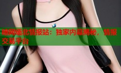 暗网缅北情报站：独家内幕揭秘，情报交易平台