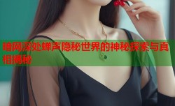 暗网深处蝉声隐秘世界的神秘探索与真相揭秘