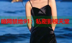 暗网禁地91：私密影视天堂
