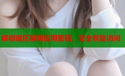 解锁暗区禁网应用密码，安全恢复访问