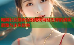 暗网社区揭秘探索隐秘网络世界的真实面貌与未来趋势