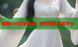 暗网666在线登录：安全隐私交易平台