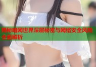 揭秘暗网世界深层秘密与网络安全风险全面解析