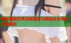 揭秘暗网世界深层秘密与网络安全风险全面解析