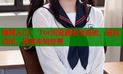 暗网入口： Tor浏览器安全直达，匿名访问，探索未知世界