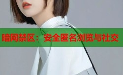 暗网禁区：安全匿名浏览与社交