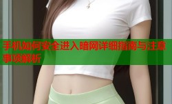 手机如何安全进入暗网详细指南与注意事项解析