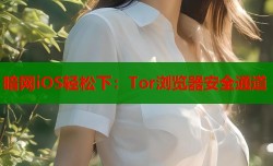 暗网iOS轻松下：Tor浏览器安全通道