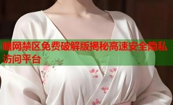 暗网禁区免费破解版揭秘高速安全隐私访问平台