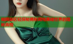 暗网禁区轻探秘揭秘网络黑暗世界的隐秘真相