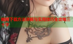 暗网下载方法详解与实用技巧全攻略三十字