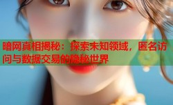 暗网真相揭秘：探索未知领域，匿名访问与数据交易的隐秘世界