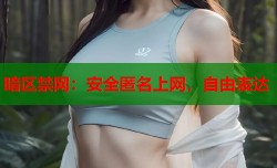 暗区禁网：安全匿名上网，自由表达