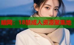 暗网：18禁成人资源聚集地