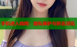 手机进入暗网：隐私保护与匿名浏览