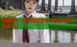 暗网揭秘：探索隐秘交易与匿名交流的黑暗平台