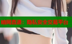暗网直通：隐私安全交易平台