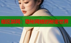 暗区禁网：隐秘网络的秘密世界