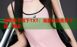 暗网柿子殿下TXT：海量小说免费下载，畅读