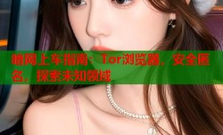 暗网上车指南：Tor浏览器，安全匿名，探索未知领域