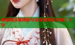 暗禁网深度揭秘与安全使用全攻略三十字