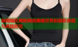 禁网暗区揭秘网络黑暗世界的隐秘真相与风险防范