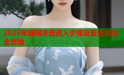 2025年暗网详细进入步骤及安全访问全攻略