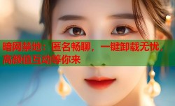 暗网禁地：匿名畅聊，一键卸载无忧，高颜值互动等你来