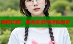暗网洋葱：匿名浏览与隐私保护